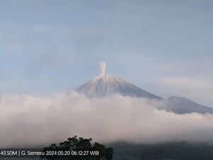 Gunung Semeru Erupsi Pagi Ini Dua Kali, Ketinggian Letusan 800 Meter Gunung Semeru Erupsi Pagi Ini Dua Kali, Ketinggian Letusan 800 Meter