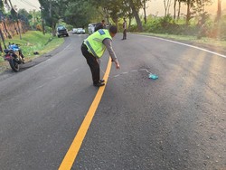 Seorang PNS Tewas Terlindas Truk di Jalan Denpasar-Gilimanuk