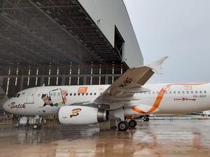 Corak pada Pesawat Adalah Seni dan Tanda Pengenal