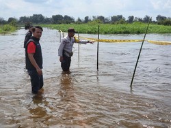 PLTA Koto Kampar Dibuka, Ruas Jalan di Pelalawan Terendam