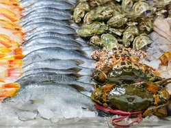 Harus Coba! 5 Seafood Istimewa yang Rasanya Enak