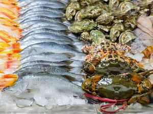 Harus Coba! 5 Seafood Istimewa yang Rasanya Enak Harus Coba! 5 Seafood Istimewa yang Rasanya Enak