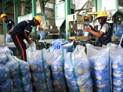 Respons Pengusaha Beras soal Prabowo Naikkan HPP Gabah Jadi Rp 6.500/Kg