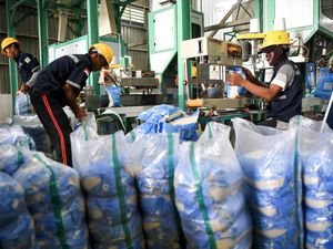 Serapan Beras Tembus 535 Ribu Ton, Ini Potret Sentra Penggilingan Padi Bulog Serapan Beras Tembus 535 Ribu Ton, Ini Potret Sentra Penggilingan Padi Bulog