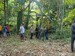 Geger Warga di Bone Temukan Granat Nanas di Tepi Sungai