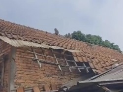 Viral Gerombolan Monyet Masuk Perkampungan  di Bogor, Lari-lari di Atap