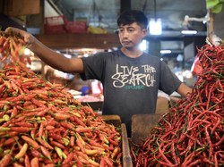 Terungkap! Ini Penyebab Harga Cabai Rawit Merah Tembus Rp 100.000/Kg