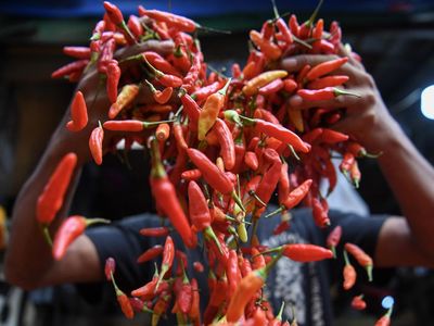 Harga Cabai Rawit Sekarang Sepedas Ini