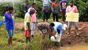Jurus TSE Adopsi Kebijakan NDPE di Perkebunan Kelapa Sawit