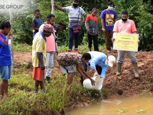 Jurus TSE Adopsi Kebijakan NDPE di Perkebunan Kelapa Sawit