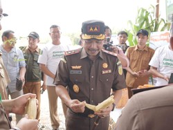 Kajati Sulsel Dorong Pengendalian Inflasi di Lutim, Tebar 2.000 Benih Ikan