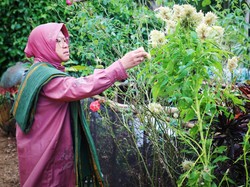 Said Abdullah Bocorkan Peluang PDIP Calonkan Risma di Pilgub Jatim 2024