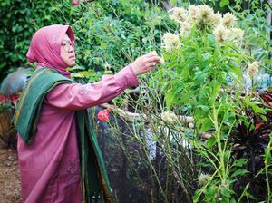 Said Abdullah Bocorkan Peluang PDIP Calonkan Risma di Pilgub Jatim 2024 Said Abdullah Bocorkan Peluang PDIP Calonkan Risma di Pilgub Jatim 2024