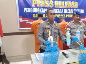 4 Nelayan Tangkap Ikan Pakai Pukat dan Bius di Pangkep Ditangkap 4 Nelayan Tangkap Ikan Pakai Pukat dan Bius di Pangkep Ditangkap