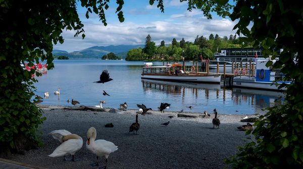 Potret Danau Terindah Inggris yang Kualitas Airnya Makin Mengkhawatirkan