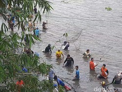 Keseruan Pladu, Warga Blitar Cari Ikan Mabuk Saat Flushing 2 Waduk