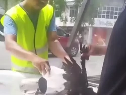 Kejatuhan Seekor Gagak, Pemilik Resto Sop Buntut Rugi Rp 6 Juta