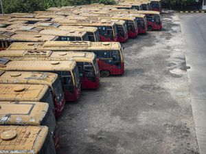 Penampakan 417 Bangkai Bus Transjakarta yang Mau Dimusnahkan Penampakan 417 Bangkai Bus Transjakarta yang Mau Dimusnahkan