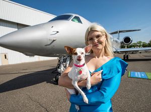 Baru Saja Terbang, Maskapai Khusus Anjing Dituntut ke Pengadilan