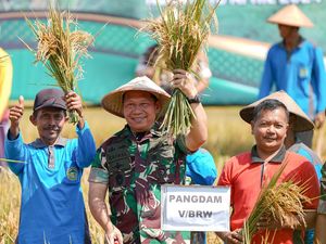Pangdam V Brawijaya Target Panen Padi 3 Kali dalam Setahun