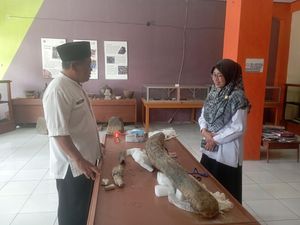 Penghuni Baru Rumah Artefak Blora, Fosil Gading Gajah Elephas Hyudindricus