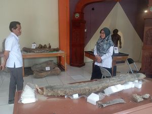 Detik-detik Penemuan Fosil Gading Gajah di Blora hingga Sukses Diekskavasi Detik-detik Penemuan Fosil Gading Gajah di Blora hingga Sukses Diekskavasi