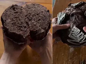 Wow! Sourdough Cokelat Kreasi Baker Ini Curi Perhatian Wow! Sourdough Cokelat Kreasi Baker Ini Curi Perhatian