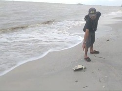 Nelayan di Bangka Selatan Keluhkan Limbah, Ngaku Tak Dapat Ikan