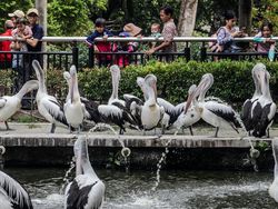 10 Destinasi Liburan untuk Cuti Bersama Idul Adha 2024 di Sekitar Jakarta