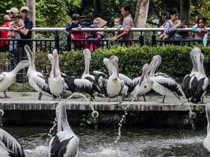 10 Destinasi Liburan untuk Cuti Bersama Idul Adha 2024 di Sekitar Jakarta 10 Destinasi Liburan untuk Cuti Bersama Idul Adha 2024 di Sekitar Jakarta