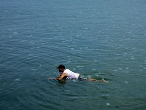 Penampakan Ubur-ubur Bermunculan di Pantai Mayangan Probolinggo Penampakan Ubur-ubur Bermunculan di Pantai Mayangan Probolinggo