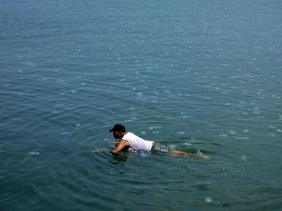 Penampakan Ubur-ubur Bermunculan di Pantai Mayangan Probolinggo