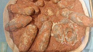 Segede Apa Telur Dinosaurus? Ini Potret Fosil Temuan Ilmuwan