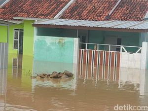 Ribuan Rumah di Cirebon Timur Terendam Banjir Ribuan Rumah di Cirebon Timur Terendam Banjir