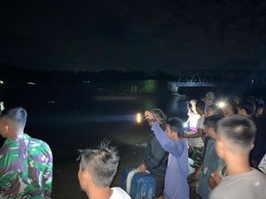 Pria di Mamuju Diterkam Buaya Saat Pasang Jaring Ikan di Laut
