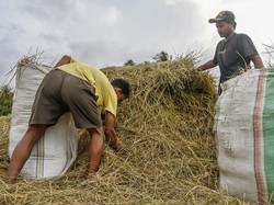Mahasiswa UGM Kembangkan Baterai Berbahan Limbah Jerami dan Grafit
