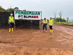 Komunitas Milenial Belajar Tanam Bibit Pohon Sengon di Morowali Utara