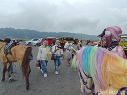 Berkah Gunung Bromo Dipadati Wisatawan Saat Libur Panjang Waisak