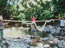 Warga di Selayar Tangkap-Bunuh Ular Piton 4 Meter Usai Mangsa Babi Hutan