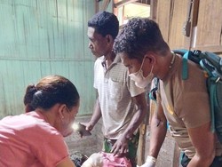 Perempuan Lansia di Flores Timur Tewas Tenggelam di Muara Sungai