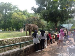 Long Weekend, Iqbal Pilih Liburan ke Ragunan demi Edukasi Anak