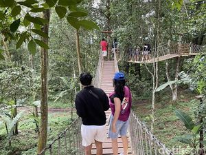 The Grand Lagunas, Wahana Permainan Seru di Hutan Batur Selatan The Grand Lagunas, Wahana Permainan Seru di Hutan Batur Selatan