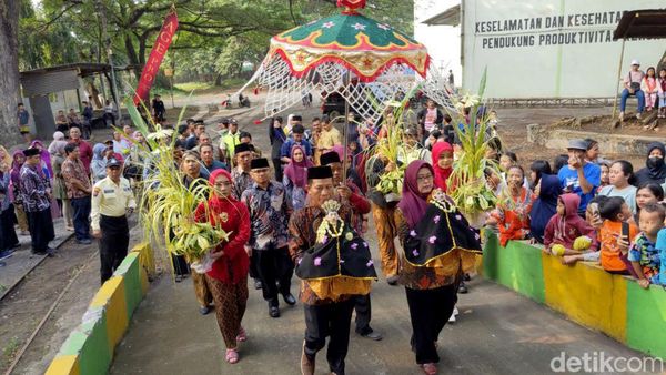 Melihat Tradisi Manten Tebu di Tulungagung
