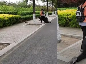 Tak Bisa Belikan iPhone, Seorang Ayah Berlutut ke Putrinya