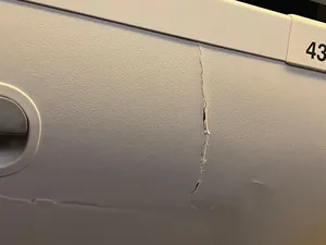 Backpacker Coba Selamatkan Korban Singapore Airlines Meski Kesakitan