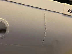 Backpacker Coba Selamatkan Korban Singapore Airlines Meski Kesakitan