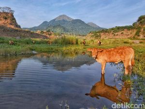 Pesona Ranu Manduro Mojokerto Pesona Ranu Manduro Mojokerto