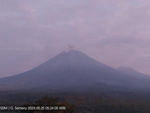 Gunung Semeru Erupsi Semburkan Abu Vulkanik Setinggi 700 Meter Gunung Semeru Erupsi Semburkan Abu Vulkanik Setinggi 700 Meter