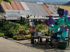 Pasar Bunga Sekar Mulyo Batu, Rekomendasi Pusat Tanaman Hias Terbaik