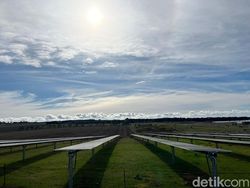 50% Listrik Universitas di Australia Ini Bersumber dari Tenaga Surya